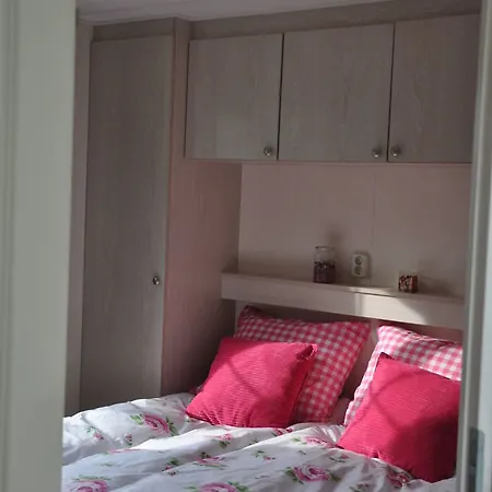 Europarcs De Biesbosch Tatil parkı 3*