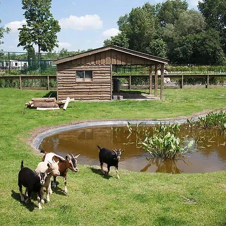 Kompleks wypoczynkowy Europarcs De Biesbosch